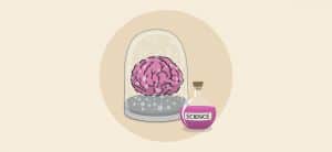 Read more about the article Alchemy of Visuals [Infographic]